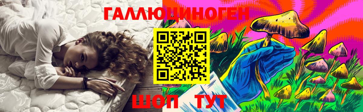 Галлюциногенные грибы прущие грибы  Вход с VPN  Элиста 